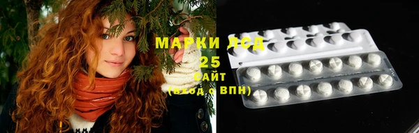 ECSTASY Шадринск