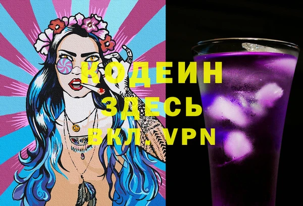 прущий лед Шали