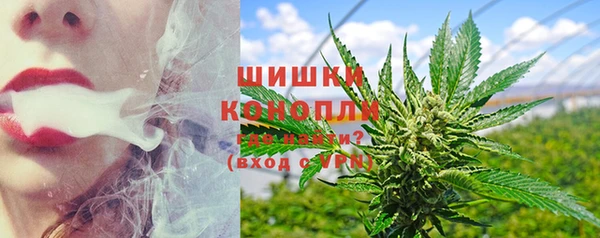 прущий лед Шали