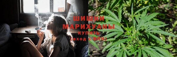 прущий лед Шали