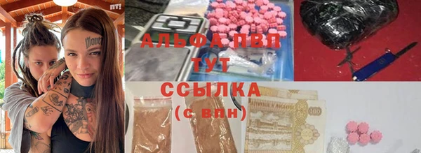 прущий лед Шали