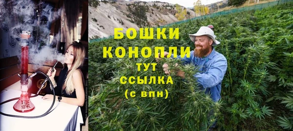 прущий лед Шали