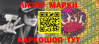 стафф Донской