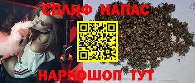 стаф Донецк