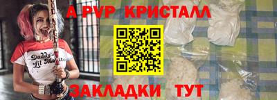 стафф Донской
