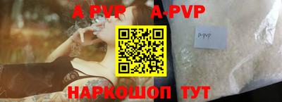 стафф Донской